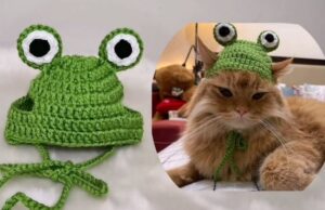 Crochet Beanie For Cats